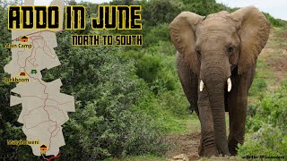 Addo Elephant National Park - June 2024