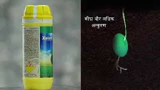 Xelora। BASF। Seed treatment। Fungicide। बीज उपचारित किया क्या?