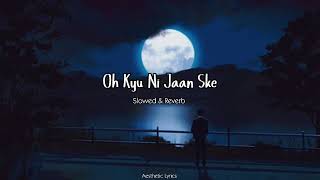 Oh Kyu Ni Jaan Ske  | Slowed & Reverb | Ninja | Aeathetic Lyrics