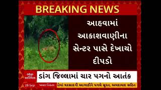 Dang Leopard | ડાંગના આહવામાં દીપડો દેખાતા લોકોમાં ભયનો માહોલ