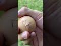 oddly satisfying video 188 shorts