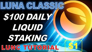 Terra Luna Classic: LIQUID STAKING ON TERRAPORT Tutorial, DEFI to Explode LUNC, $100 a day strategy