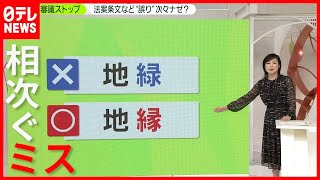 ナゼ？誤字脱字  法案条文で次々と…(2021年3月24日放送「news zero」より)