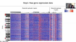 Detect Copy Number Variations on 10x Spatial Transcriptomics Data