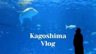 凱莉獨旅 ✈｜鹿兒島水族館  鹿兒島可愛特色小店 終於要回長崎了 Kagoshima｜Kellystone 2023