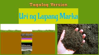 Ibat Ibang Uri o Klase ng Lupa Bilang Yamashita Treasure na Marka