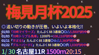 梅見月杯2025予想【名古屋競馬】全頭診断＋調教評価＋買い目