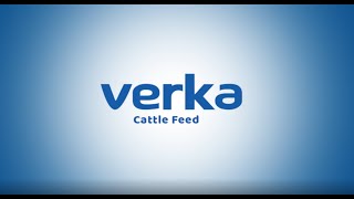 VERKA CATTLE FEED