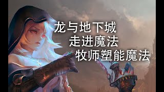 【走进魔法】治疗、光耀伤害、无敌的神能；龙与地下城牧师法 塑能系（下）【博得之门】