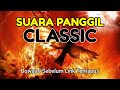 Banyak yang cari suara ini, Suara Panggil Burung Walet Classic TOP! Download Gratis