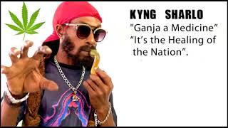 Kyng Sharlo - Hungry Lion