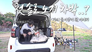 솔로캠핑🐶👧🏻반려견과 함께한 첫 노지 차박에서 뜻밖의 일이 생겼다. (car camping vlog)