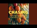 Chasing Echoes