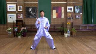 Tai Chi 24  Form step by step instructions (Paragraph 2)