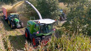 Mais 2021 : Fendt KATANA 85 / LU Scheper / Maishäckseln 2021 / John Deere / Corn Harvest / Fendt 936