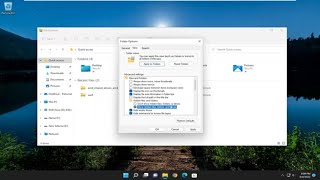 Fix Disappeared Files and Folders In Windows 11 [Tutorial]