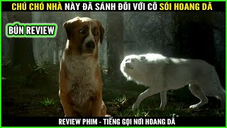 Chú chó nhà này đã sánh đôi với cô sói hoang dã - REVIEW PHIM : TIẾNG GỌI NƠI HOANG DÃ || BÚN REVIEW