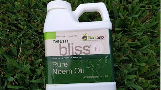 First Impressions: 100% Pure Neem Oil by Plantonix