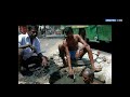 manual scavenging in india හිසින් කරින් මළ අදින ඉන්දියාවේ බාල්මිකී මිනිස්සු