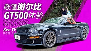 全国唯一的野马谢尔比Mustang Shelby敞篷肌肉跑车堪比当年一套房的价格