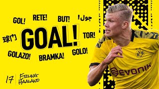 Erling Haaland debut as Borussia Dortmund