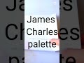 James Charles palette