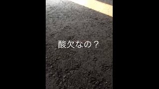 PK どうしてミミズは雨の日にアスファルトに出てくるの？