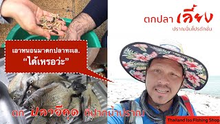 ลองเอาหนอนแมลงวันลายมาตกปลาอีคุด [ Fukase Fishing Thailand Ep.10 ]