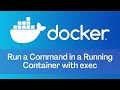 Docker - Tutorial 7 - Run a Command in a Running Container with exec