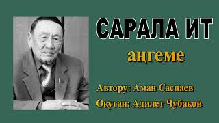 САРАЛА ИТ / АМАН САСПАЕВ