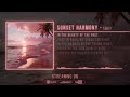 Sunset Harmony – Official Lyric Video | Tropical Pop by T@KY, Echo Road