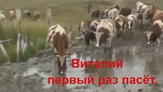 Виталий первый раз в жизни в роли пастуха.Снимает В.Пащенко и Игнатий Лапкин