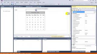 C# .NET Date Control