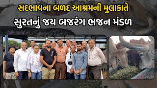 સદભાવના બળદ આશ્રમની મુલાકાતે સુરતનું જય બજરંગ ભજન મંડળ