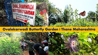 Ovalekarwadi Butterfly Garden Thane Maharashtra || Butterfly Garden