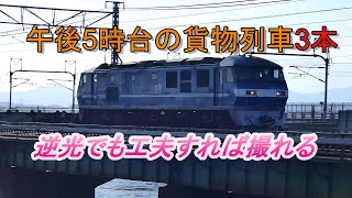 2020/06/23 JR貨物 夕方5時台の貨物列車3本 浜名湖三番鉄橋