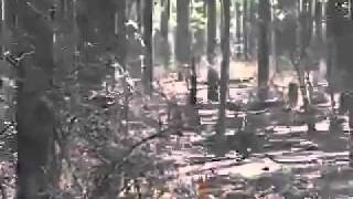 Basic Training: Ambush