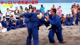 合気道‐流れる連続技③ Aikido Techniques