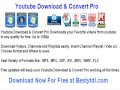 youtube downloader youtube video downloader