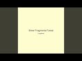 Silver Fragments Forest