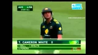 Batsman walking off with daddles the duck