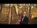 autumn leaves pedal harp in the forest by ralf kleemann