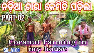 Coconut farming in my house || ନଡ଼ିଆ ଚାରା କେମିତି ପଡ଼ିଲା || SK_VLOG || PART-02 video || #vlogs #vlog