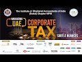 Navigating UAE Corporate Tax - Full Video