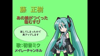 【初音ミク　アペンドsolid】藤正樹・あの娘がつくった塩むすび(再アップ）