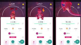 Max Charmander Charmeleon Charizard 極巨化 小火龍 火恐龍 噴火龍 (ヒトカゲ，リザード，リザードン) #pokemon #pokemongo #寶可夢