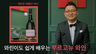 [찐고수의 스타일] 와린이들을 위한 부르고뉴 와인 파헤치기!