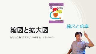 縮図と拡大図　たったこれだけプリント6年生１６ページ