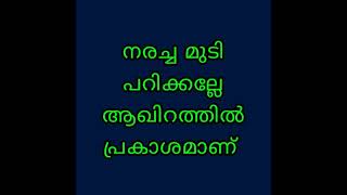 നരച്ച മുടി പറിക്കല്ലേ