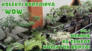 REVIEW KOLEKSI BONSAI MILIK PAK.BUDI KOLEKTOR BONSAI ASAL GROGOL,TANJUNG DUREN